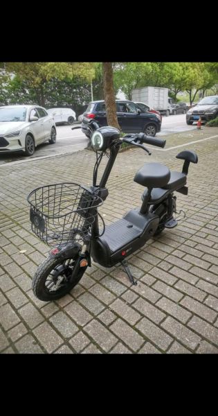 电瓶车图片大全_电瓶车款式有哪些