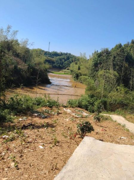 梦到土堆是什么意思_梦见土堆好不好