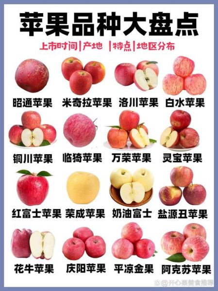 苹果图片大全_苹果品种图片及名称