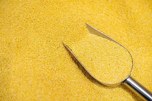 小米图片大全大图_哪里找高清无水印