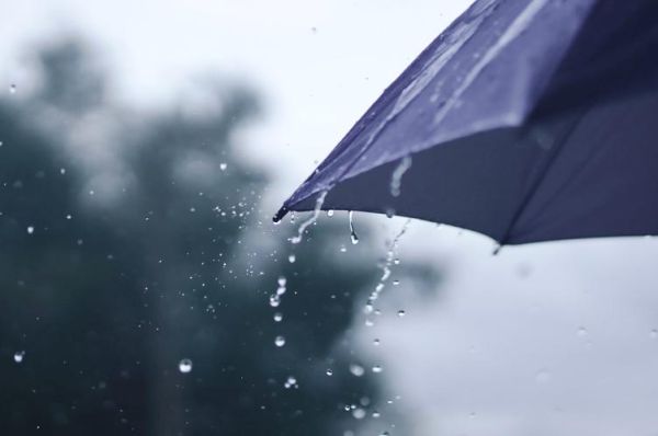 下雨的图片大全_如何拍摄雨中意境