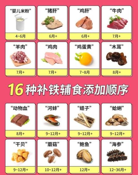 宝宝补铁的食物有哪些_缺铁吃什么好