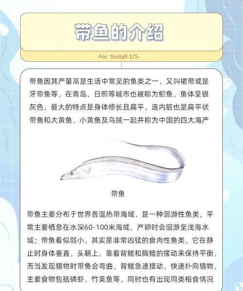 梦到带鱼是什么意思_梦见带鱼好不好