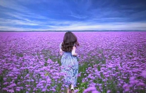 怀孕梦到花是什么意思_孕妇梦见花预示生男生女