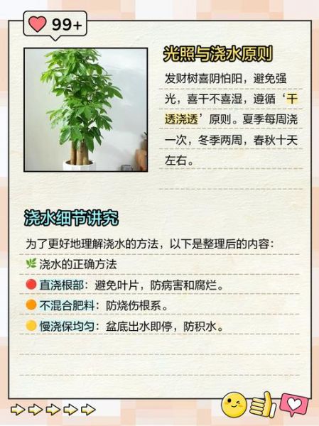 梦到浇水是什么意思_梦到浇水预示着什么