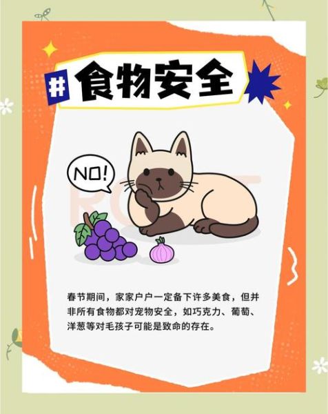 宝宝过春节要注意什么_宝宝春节安全指南