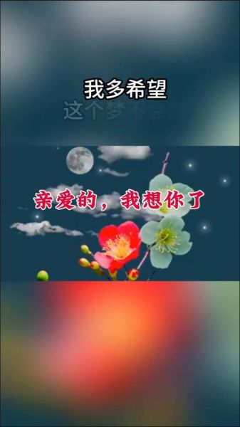 又梦到你了是什么意思_又梦到你了是什么预兆