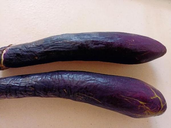 梦到茄子是什么意思_梦见茄子是吉是凶