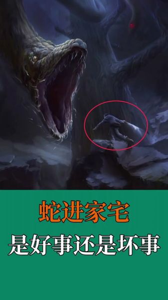 梦到家里有蛇是什么预兆_家里进蛇风水化解