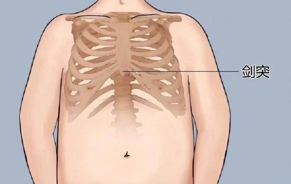 宝宝剑突突出正常吗_新生儿剑突骨图片怎么看