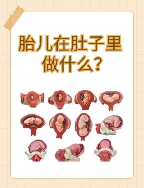 孕妇梦到宝宝在肚子里动_是胎梦吗