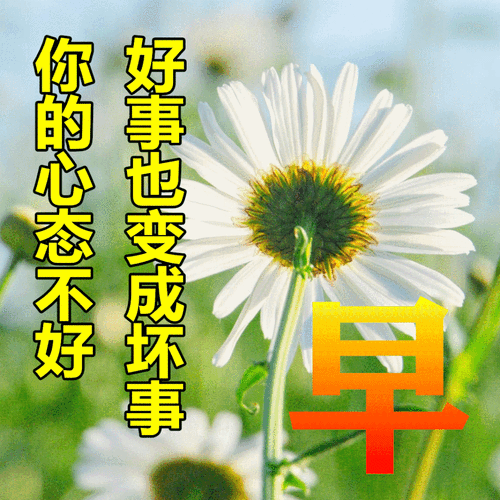 聊天图片表情大全_如何快速找到高清无水印表情