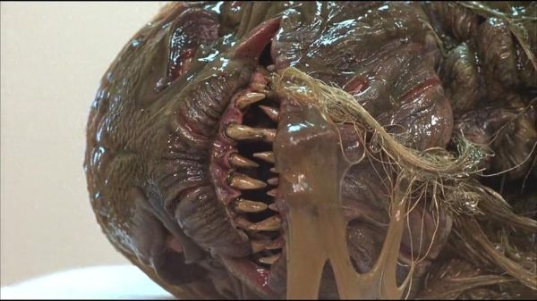 凶煞鱼怪迅雷下载_高清资源哪里找