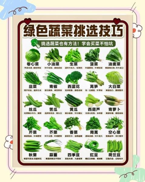 青菜图片大全大图_如何挑选新鲜青菜