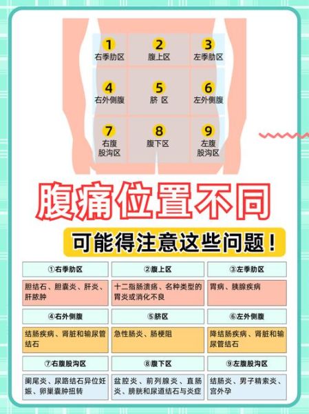 肚子图片大全_如何区分正常与异常腹部