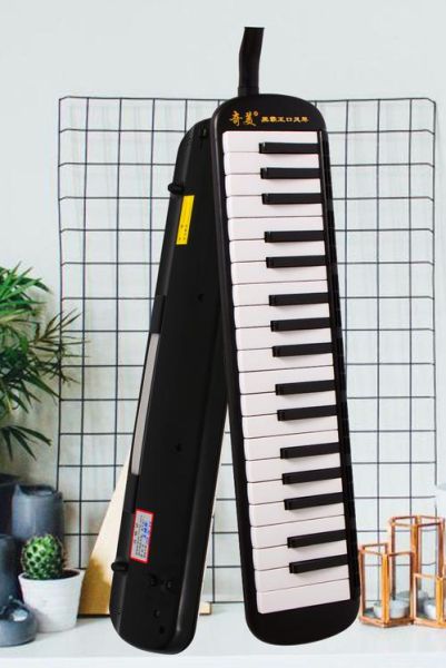 口风琴图片大全_初学者怎么选型号