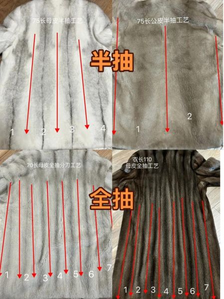 水貂图片大全_水貂品种怎么区分