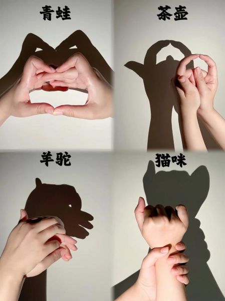 手势影子图片大全_如何拍出创意手势影子