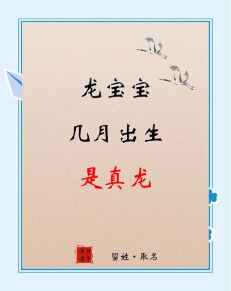 梦到小龙是什么意思_梦到小龙预示什么