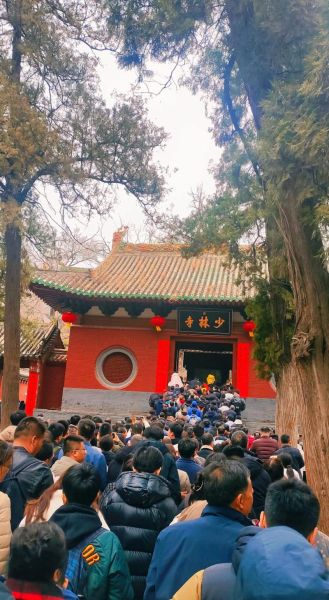 少林寺图片大全哪里找_少林寺图片大全有哪些经典场景