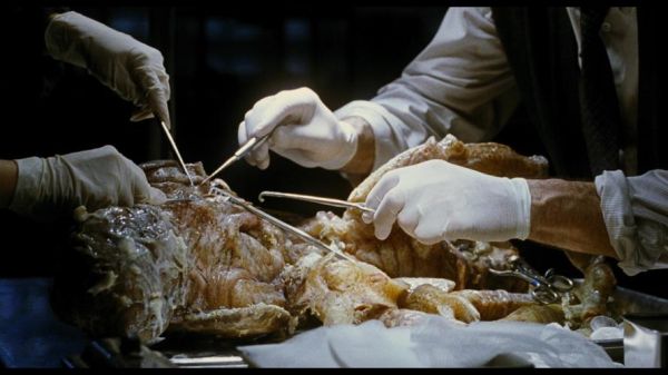 变种dna迅雷下载_变种dna高清资源哪里找