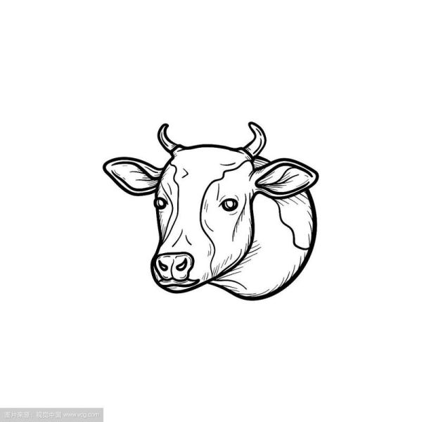 牛头图片大全_牛头图片怎么画