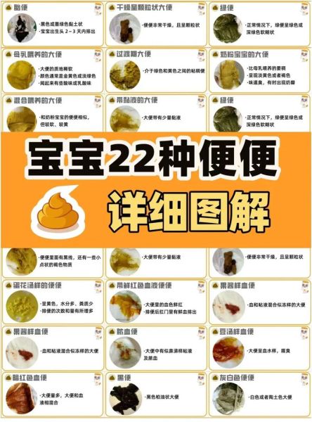 五个月宝宝一天拉几次正常_母乳和奶粉差异