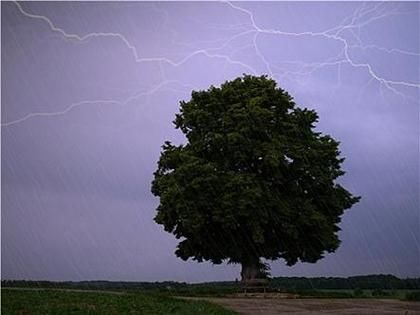 梦到电是什么意思_梦见被电预示什么