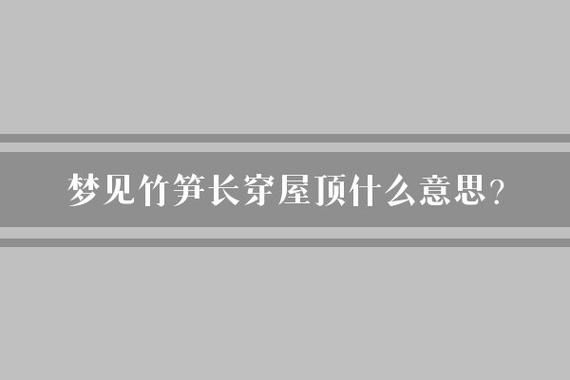梦到笋是什么意思_梦见竹笋好不好