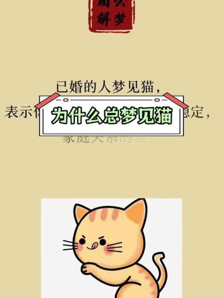 做梦梦到猫了_猫在梦里代表什么
