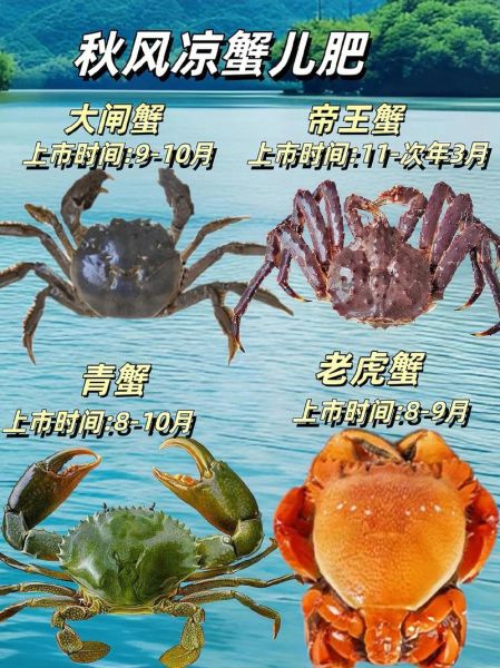 螃蟹图片大全_如何区分青蟹与大闸蟹