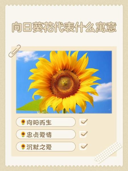梦到向日葵是什么意思_梦到向日葵预示什么