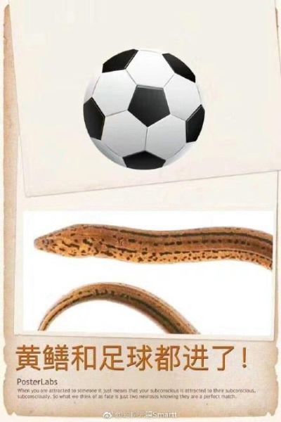 黄鳝门迅雷下载_资源还能找到吗