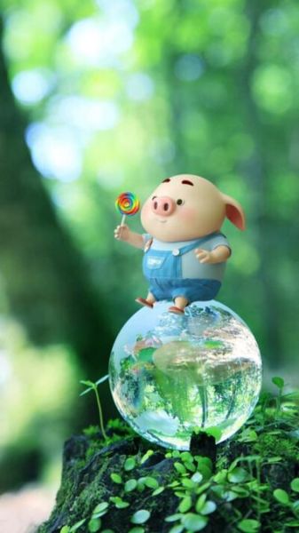 猪猪图片大全可爱图片_哪里找高清无水印