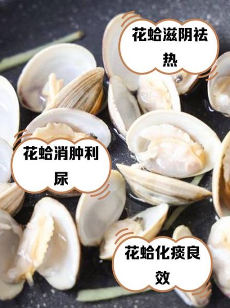 宝宝能吃花蛤吗_花蛤多大能吃
