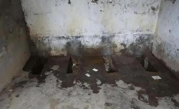 梦到掉进粪坑是什么意思_梦见掉粪坑如何化解