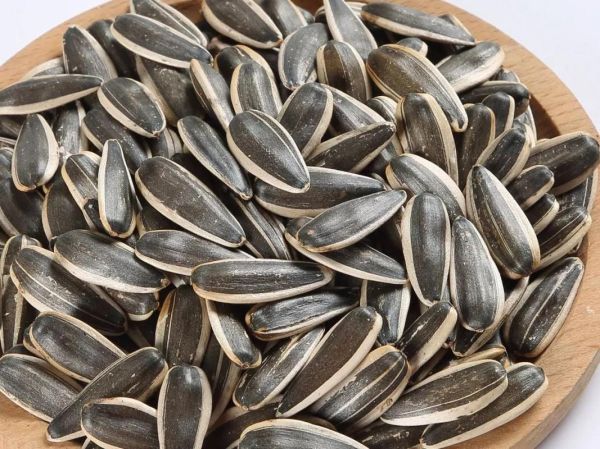 瓜子图片大全大图_瓜子高清图怎么拍