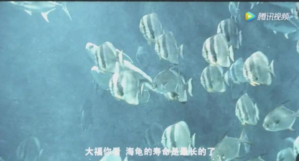 海洋天堂迅雷下载_哪里能看高清完整版