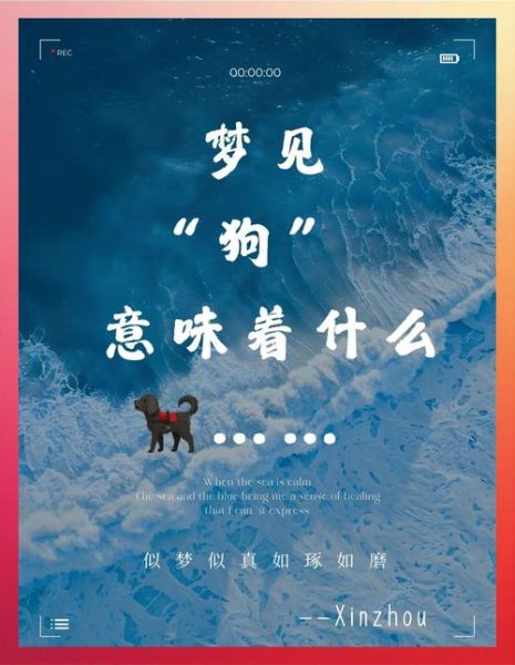 梦到一只小狗是什么意思_如何解读梦境中的小狗