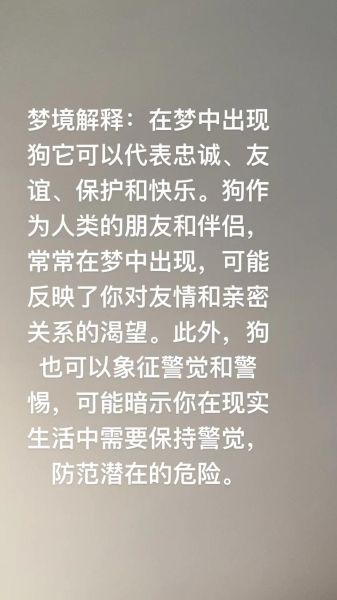 梦到狗死了是什么意思_梦到狗死了预示着什么