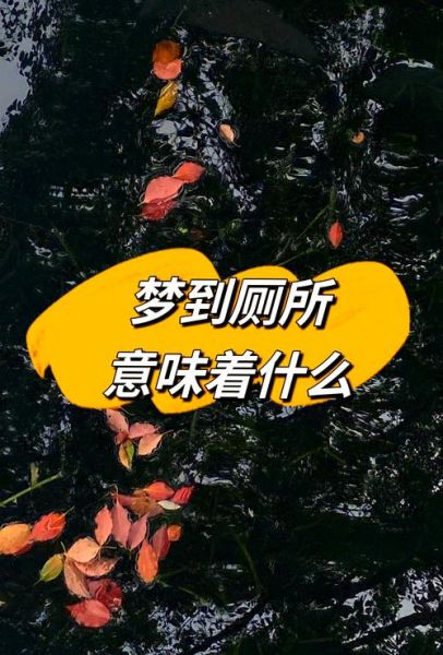 梦到地上都是屎_周公解梦准吗