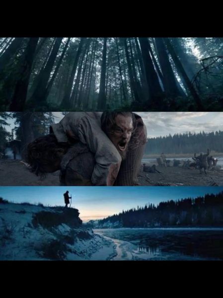 荒野猎人迅雷下载_哪里能看高清完整版