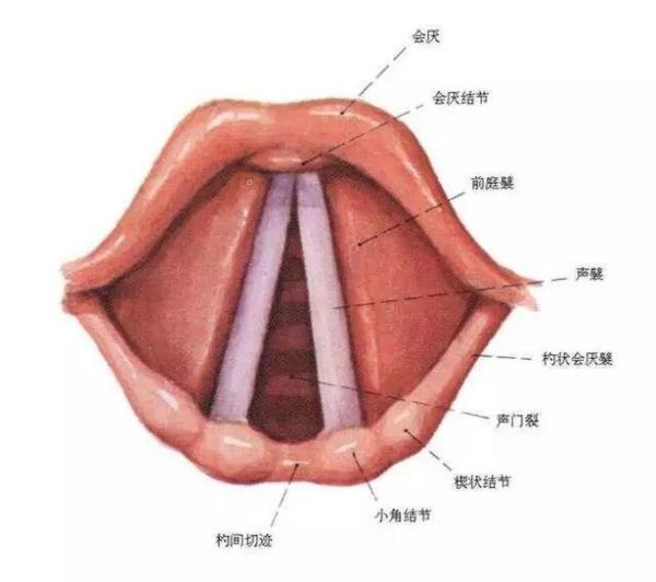 宝宝喉骨软化症状_宝宝喉骨软化怎么办
