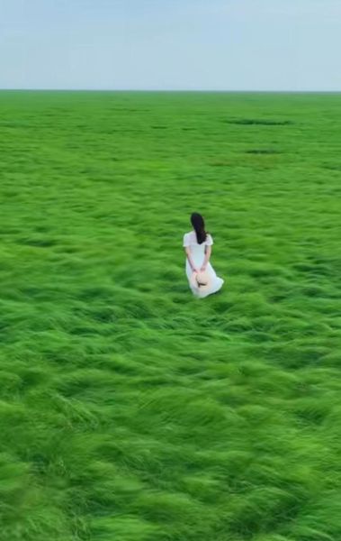 风的图片大全_如何拍出动感风