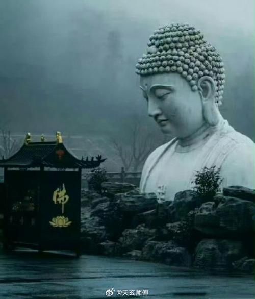 梦到狂风暴雨是什么意思_如何化解梦境焦虑