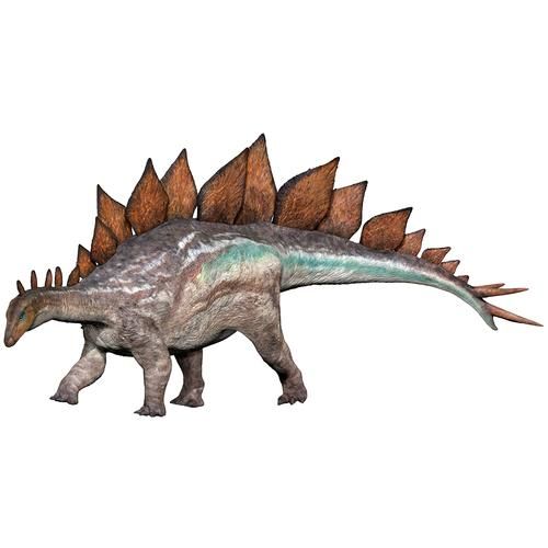 剑龙图片大全_剑龙长什么样