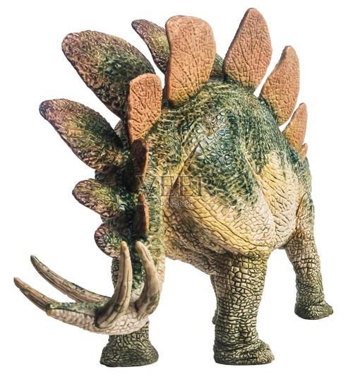 剑龙图片大全_剑龙长什么样