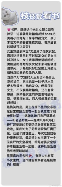 有宝宝的言情小说怎么写_新手入门技巧