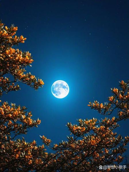 唯美月亮图片大全_如何拍出梦幻月色