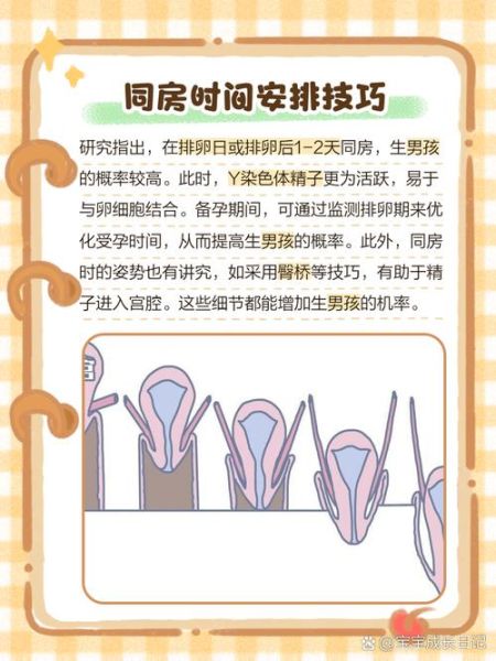 生男宝宝的科学方法_备孕男孩有哪些技巧
